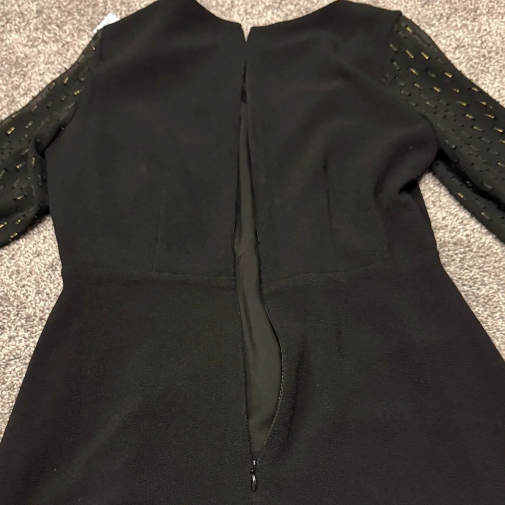 Ann Taylor Dress with Sheer Metallic Statement Sleeves - wedding guest - Picture 9 of 11